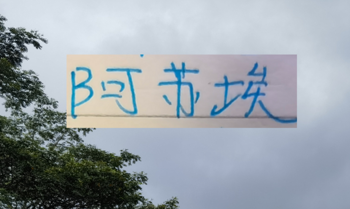 世界杯比赛在线观看地址-海港也走捡漏路线了 22岁多哥外援会比24岁申花前锋高级吗
